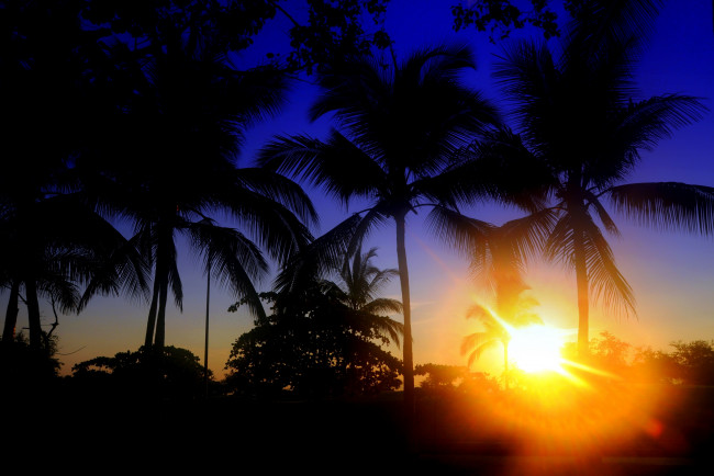 Обои картинки фото природа, восходы, закаты, рассвет, солнце