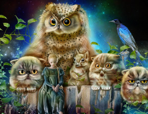Картинка фэнтези существа коты девочка сова