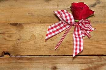 Картинка цветы розы лента бантик роза доски