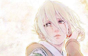 Картинка аниме shingeki+no+kyojin арт annie leonhardt лицо