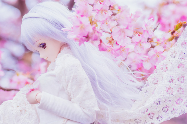 Обои картинки фото разное, игрушки, кукла, цветы, игрушка