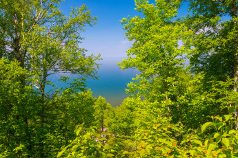 Картинка природа реки озера деревья просвет обзор