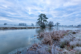 Картинка природа реки озера камыш река иней