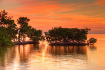 Картинка природа восходы закаты рассвет