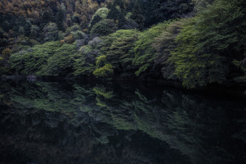 Картинка природа реки озера лес деревья отражение озеро