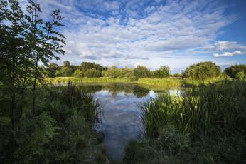 Картинка природа реки озера река лес