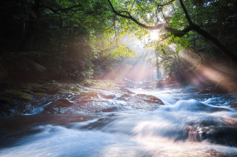 Картинка природа восходы закаты лучи лес река