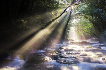 Картинка природа восходы закаты река утро лес лучи