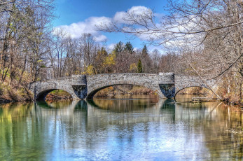 Картинка природа парк лес река мост