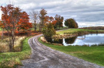 Картинка природа дороги лес озеро грунтовка