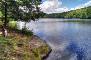 Картинка природа реки озера лес река