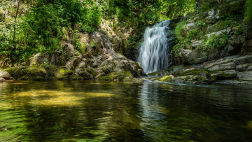 Картинка природа водопады водопад лес река