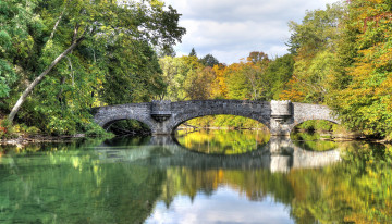 Картинка природа парк мост река лес