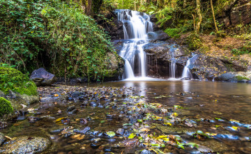 Картинка природа водопады река лес водопад