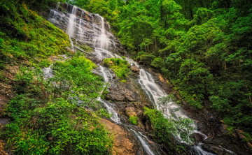 Картинка природа водопады водопад река лес
