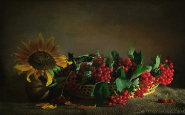 Картинка еда фрукты +ягоды текстура ягоды калина подсолнух