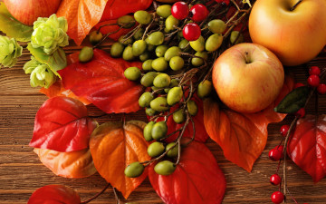 Картинка еда Яблоки autumn leaves berries still life harvest fruit apples натюрморт яблоки листья осень