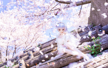 Картинка разное игрушки весна сакура лепестки кукла