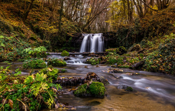 Картинка природа водопады река лес водопад