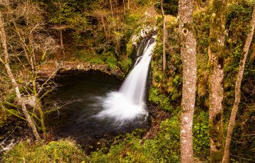 Картинка природа водопады водопад река лес