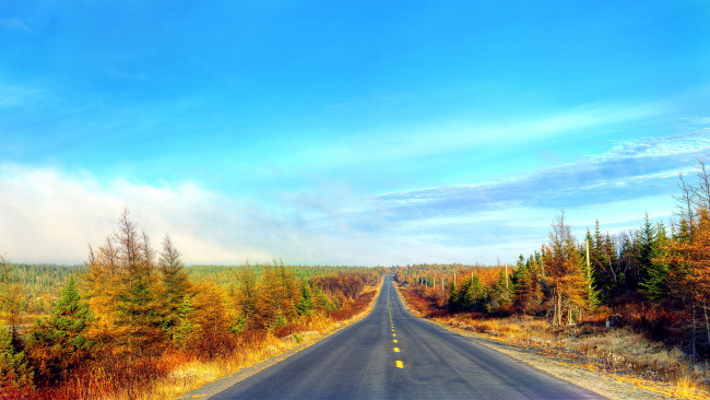 Обои картинки фото природа, дороги, дорога