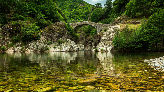 Обои картинки фото природа, реки, озера, мост, река, лес