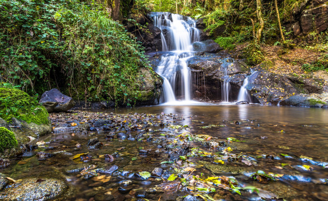 Обои картинки фото природа, водопады, река, лес, водопад