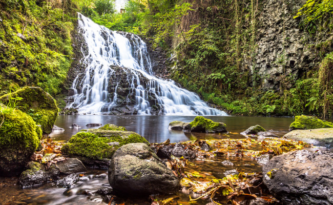 Обои картинки фото природа, водопады, река, лес, водопад