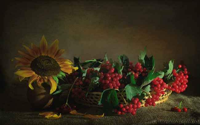 Обои картинки фото еда, фрукты,  ягоды, текстура, ягоды, калина, подсолнух