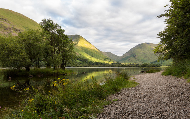 Обои картинки фото природа, реки, озера, лес, река