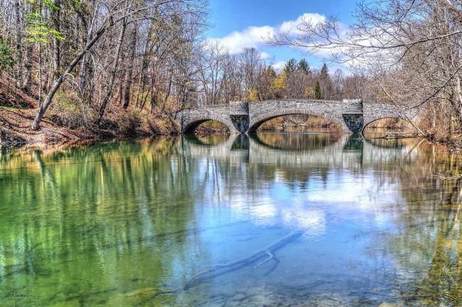 Обои картинки фото природа, парк, лес, река, мост