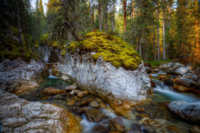 Обои картинки фото природа, водопады, водопад, река, лес