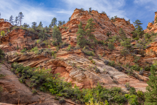 Обои картинки фото природа, горы, скалы, сосны