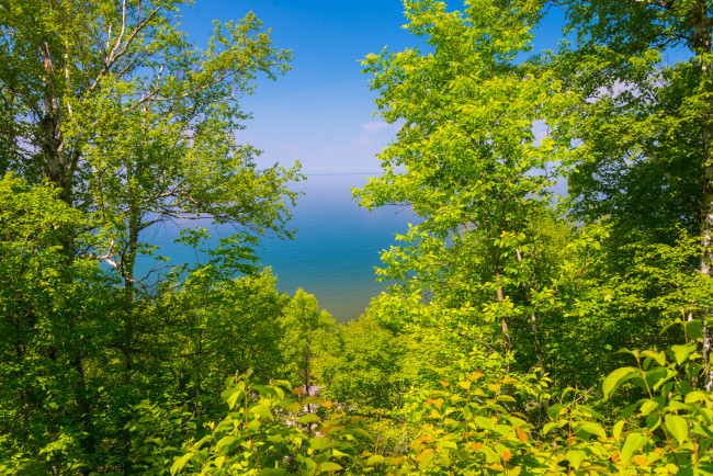 Обои картинки фото природа, реки, озера, деревья, просвет, обзор