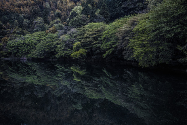 Обои картинки фото природа, реки, озера, лес, деревья, отражение, озеро