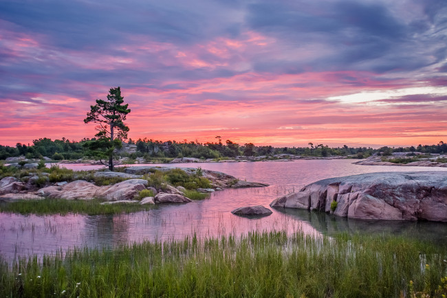 Обои картинки фото природа, реки, озера, река, лес