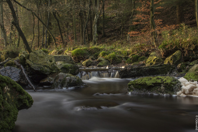 Обои картинки фото природа, реки, озера, река, лес