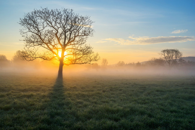 Обои картинки фото природа, восходы, закаты, рассвет