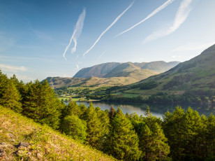 Картинка природа реки озера лес река