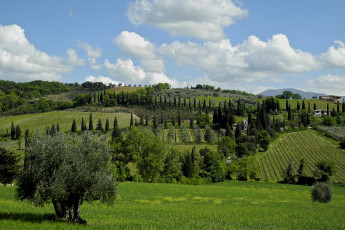 Картинка природа пейзажи простор