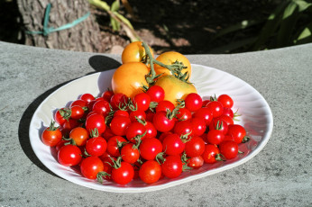 Картинка еда помидоры томаты