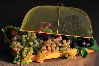 Картинка еда виноград ягоды