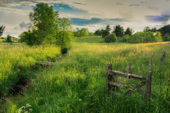 Картинка природа пейзажи простор