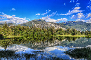 Картинка природа реки озера река лес