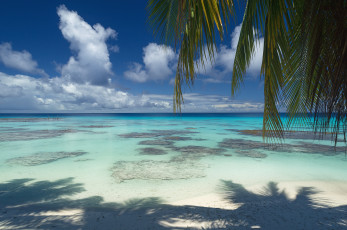 Картинка природа тропики курорт океан