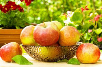 Картинка еда Яблоки блюдо фрукты фон