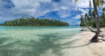 Картинка природа тропики курорт океан