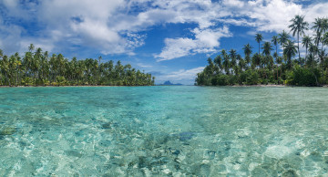 Картинка природа тропики курорт океан