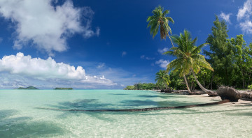 Картинка природа тропики океан курорт