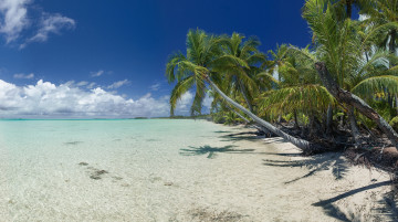 Картинка природа тропики курорт океан